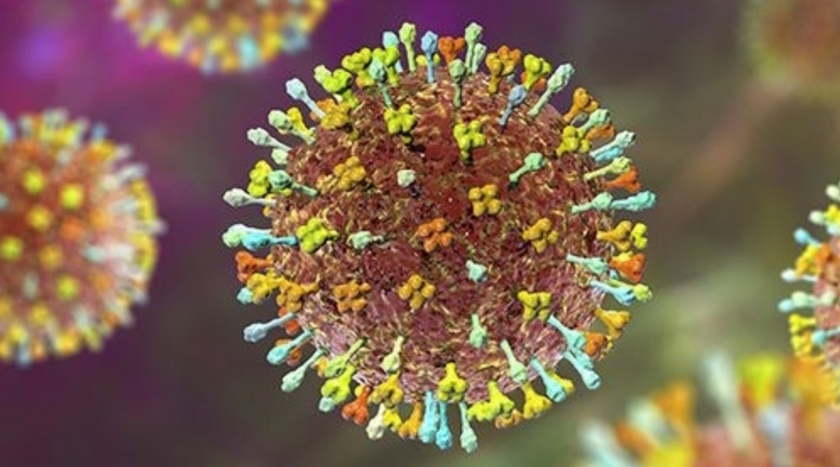 Health Ministry issues urgent notice over risk of Nipah virus